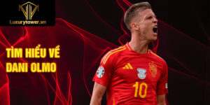 Tìm hiểu về dani olmo